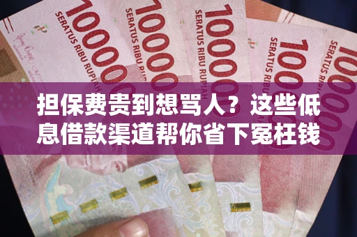 济南担保费贵到想骂人？这些低息借款渠道帮你省下冤枉钱