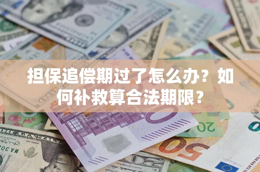 济南担保追偿期过了怎么办？如何补救算合法期限？