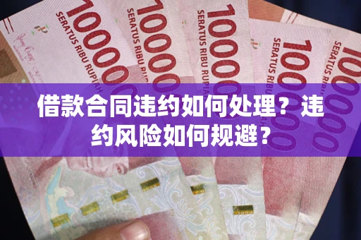 济南借款合同违约如何处理？违约风险如何规避？