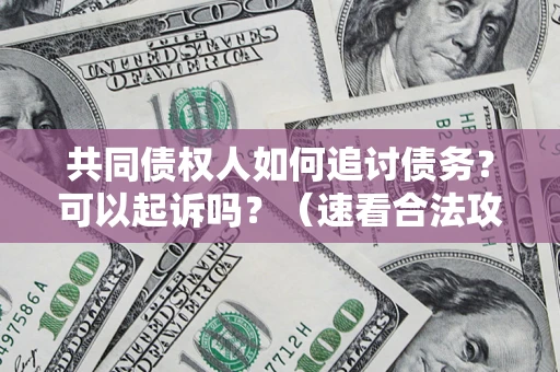 济南共同债权人如何追讨债务？可以起诉吗？（速看合法攻略）