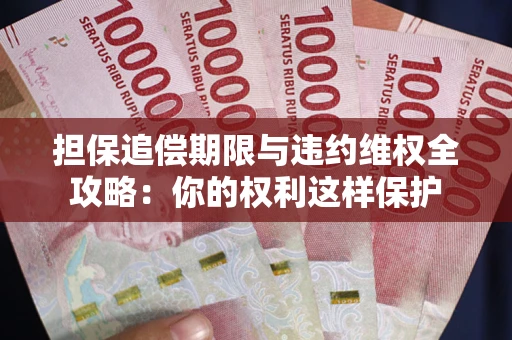 济南担保追偿期限与违约维权全攻略：你的权利这样保护